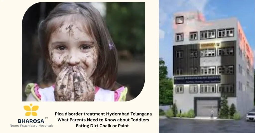 Pica disorder treatment Hyderabad Telangana What Parents Need to Know about Toddlers Eating Dirt Chalk or Paint  