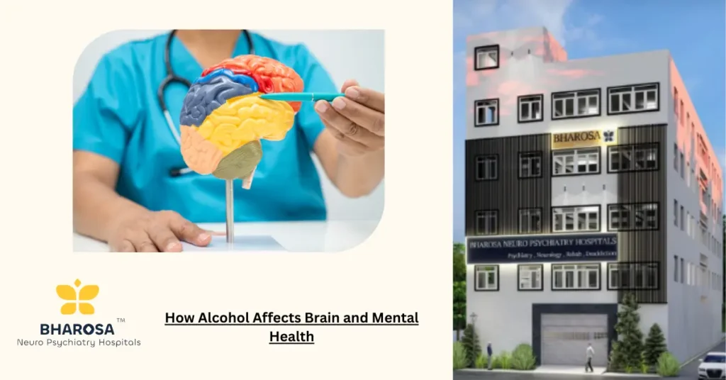 How alcohol affects the brain