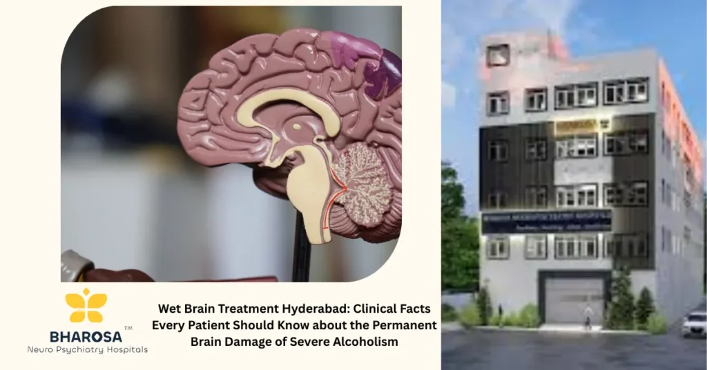 Wet Brain Treatment Hyderabad: Clinical Facts Every Patient Should Know about the Permanent Brain Damage of Severe Alcoholism 7 concerned family seeking wet brain treatment Hyderabad for severe alcoholism at psychiatry hospital with brain anatomy illustration