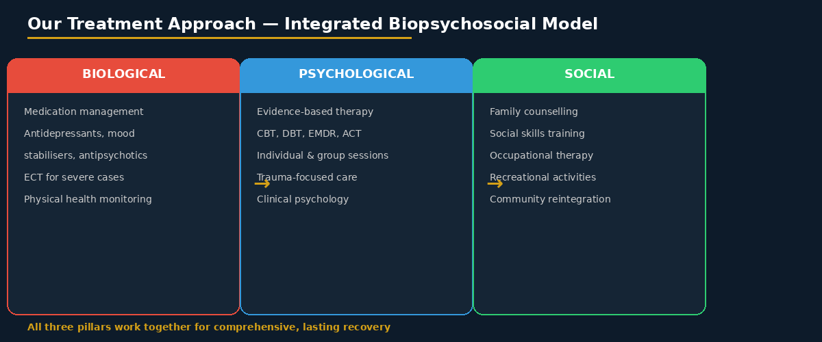 biopsychosocial treatment model mental health hyderabad