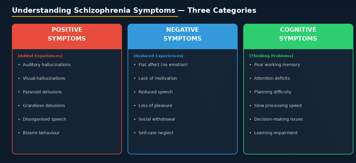 schizophrenia symptoms positive negative cognitive
